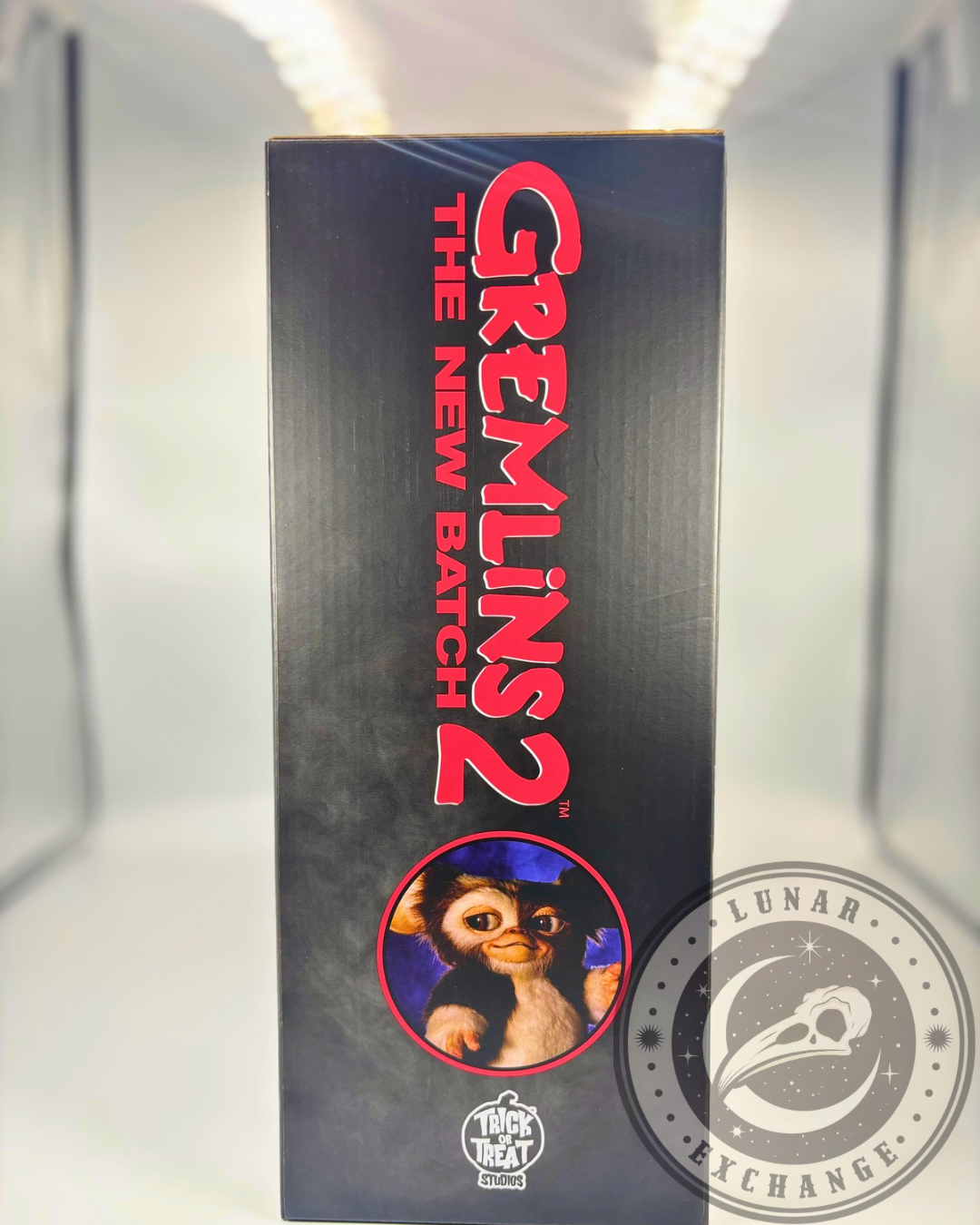 Gremlins 2: The New Batch – Gizmo Mogwai Prop Replica – Trick or Treat Studios (2024)
