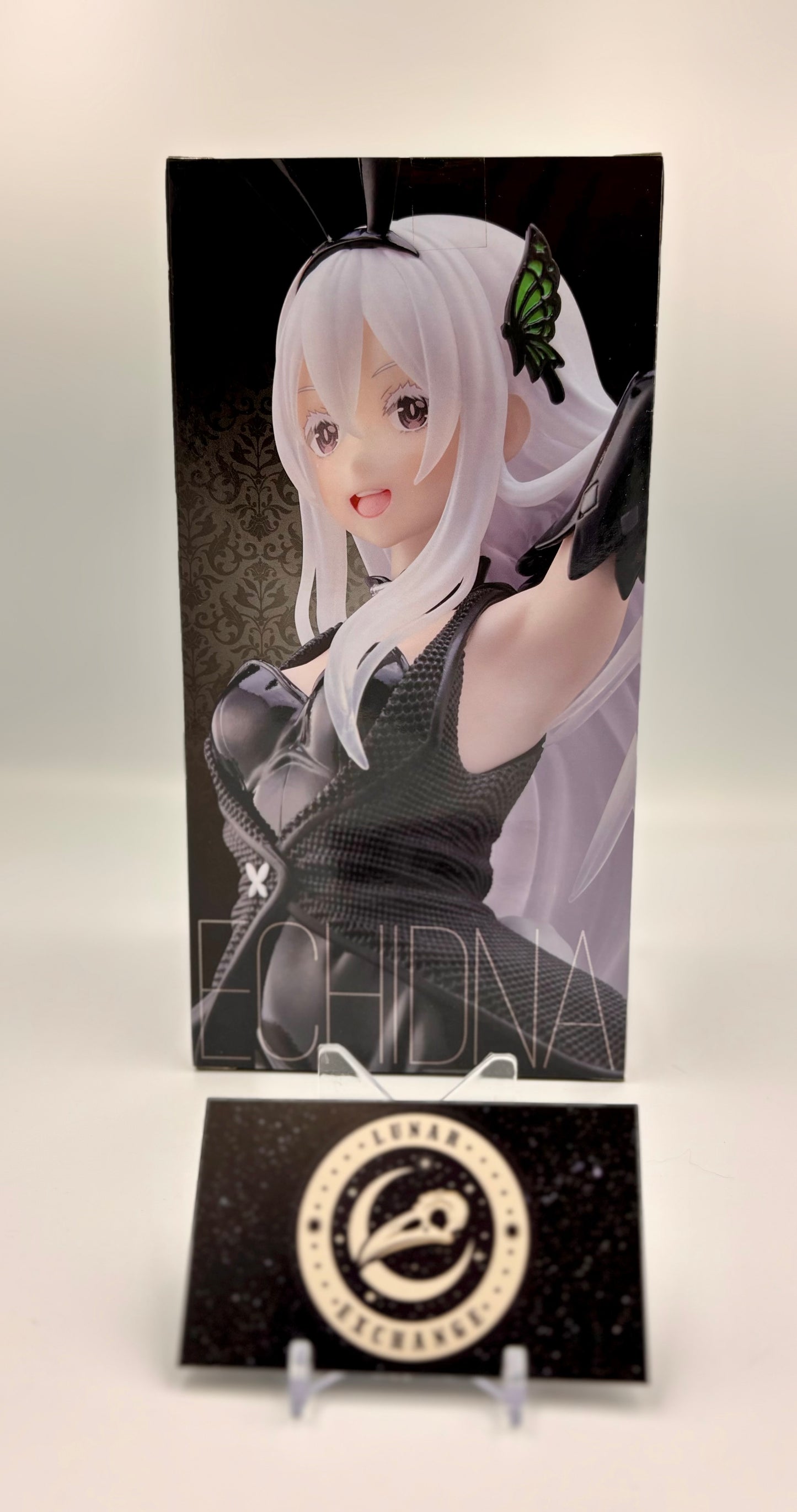 Packaging of the Coreful Figure Echidna: Bunny Ver. by Taito.