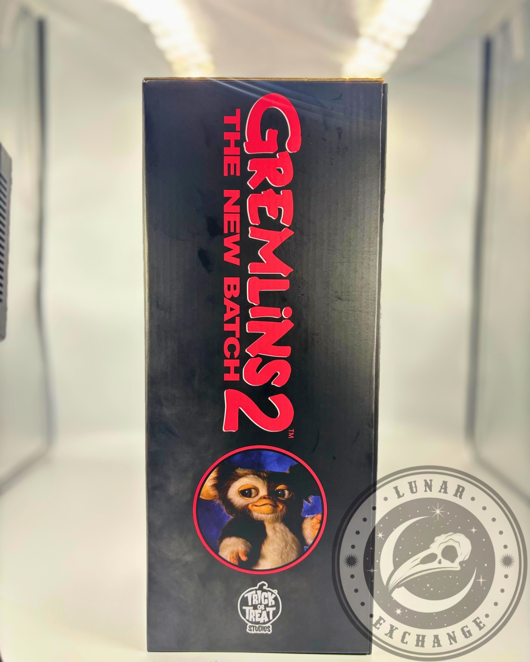 Gremlins 2: The New Batch – Gizmo Mogwai Prop Replica – Trick or Treat Studios (2024)