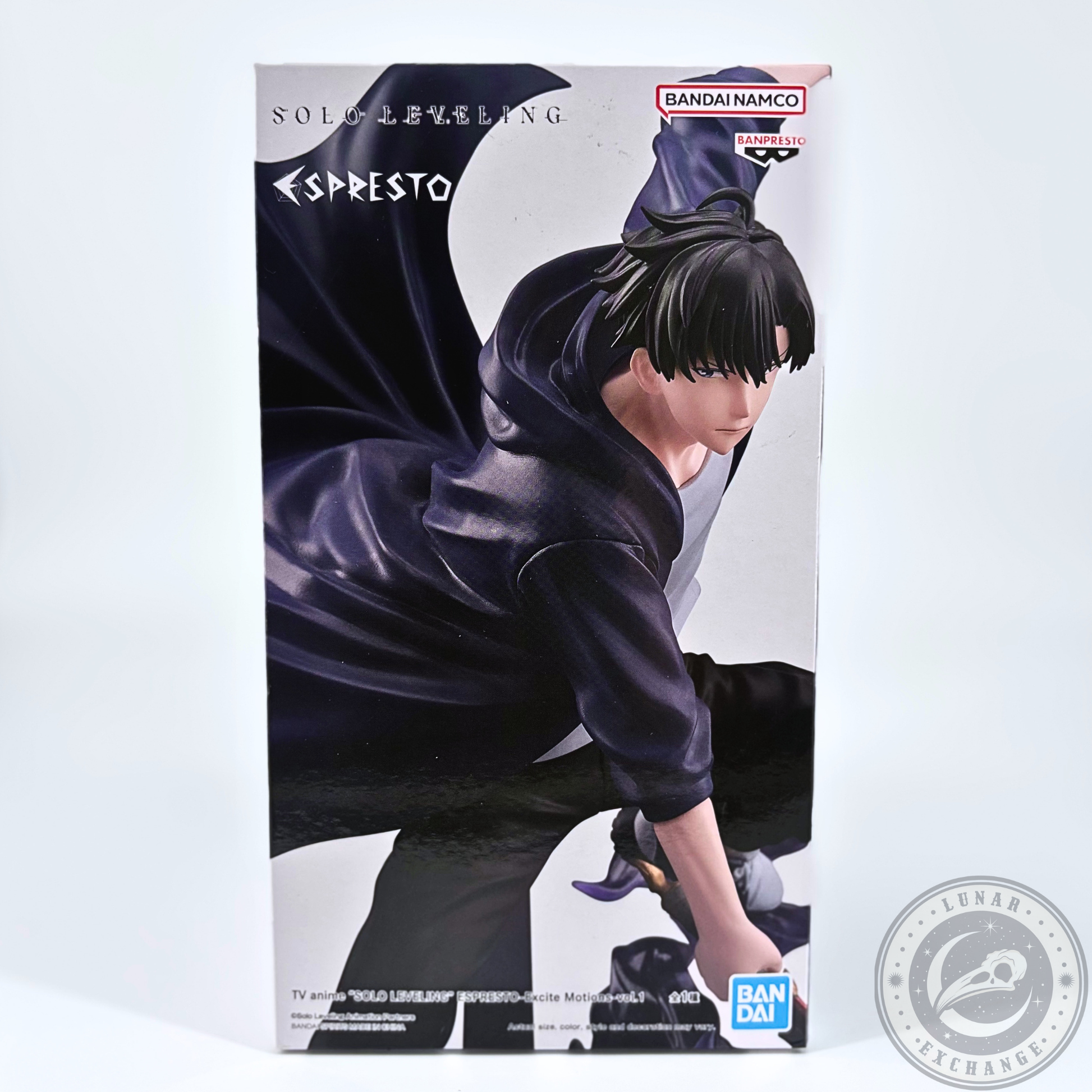     Banpresto Solo Leveling Sung Jinwoo anime figure packaging