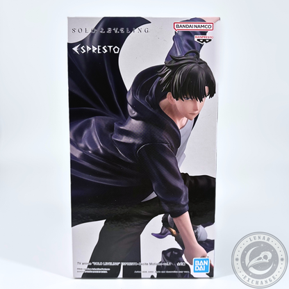     Banpresto Solo Leveling Sung Jinwoo anime figure packaging